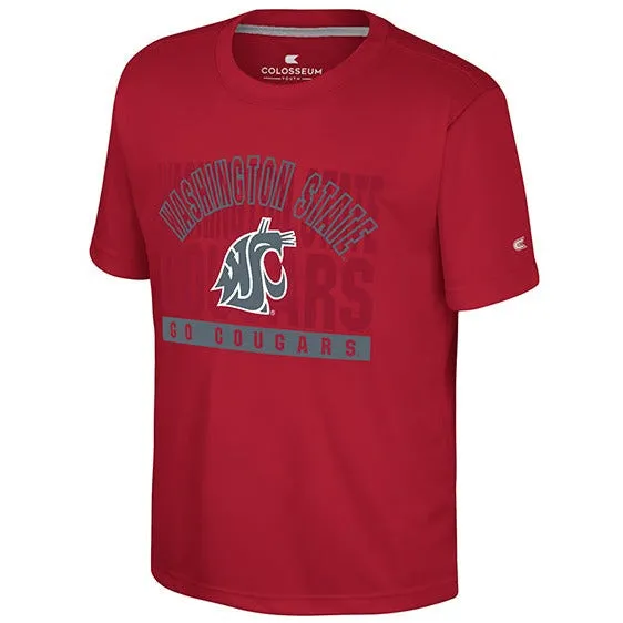 Colosseum Crimson Washington State Youth Dri-fit Tee