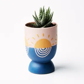 Setting Sun Planter